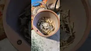Кальций / порошёк из рыбных костей (Эксперимент)