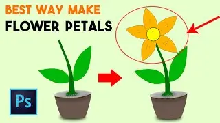 Create VECTOR FLOWER PETALS for Beginners in Photoshop