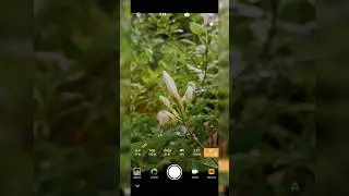 Mobile photography 📷 Vivo V25 pro Camera Photoshoot #shorts #viral #youtubeshorts #shortsfeed #trend