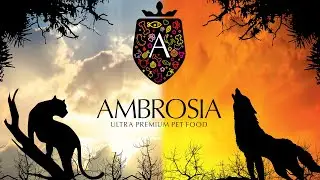 AMBROSIA – ультра премиальный, гипоаллергенный, беззерновой корм класса HOLISTIC для собак и кошек