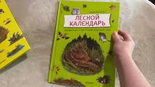Лесная энциклопедия для детей уникальные иллюстрации