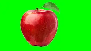 FALLING APPLE -RED-GREEN SCREEN COPYRIGHT FREE