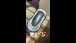 How to Spray Samurai Paint Silver + T901