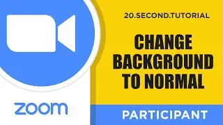 Change video background back to normal – Participant Zoom Tutorial #16