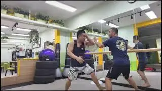 Baji Quan's elbow strike by Qiu BaoLong - part1 (Sub Fr-Eng)