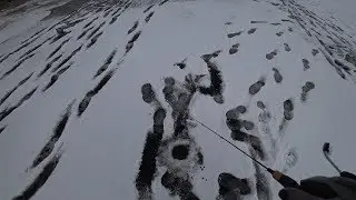 Ловля окуня на 