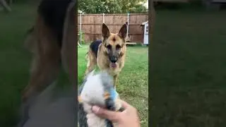 Out with Jenny and her Ducky | Outside Edition