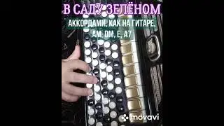 БАЯН"В САДУ ЗЕЛЁНОМ РОЗА ЦВЕЛА"БЕЗ НОТ АККОРДАМИ Am, Dm, E, A7,КАК НА ГИТАРЕ.RUSSIAN SONG.