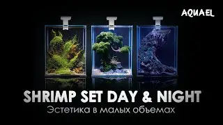 Shrimp Set Day & Night - эстетика в малых объемах