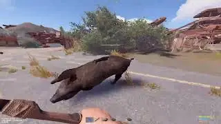 кабан пропалxddddddddddddd.... .. появился в Раст/Rust