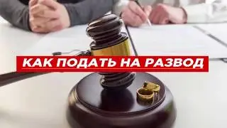 Как подать на развод: через ЗАГС, суд, стоимость, документы, сроки