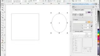 Alignment and dynamic guides