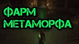 Path of Exile Гайд Фарм Метаморф