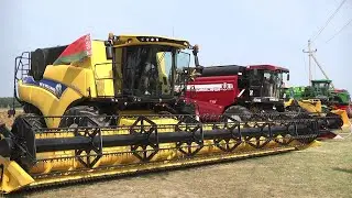2024-08-27 «Дожинки-2024» в Жабинковском районе