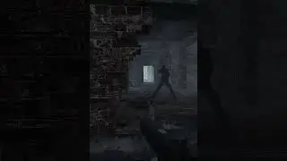 I let him finish reloading in Stalker Gamma 