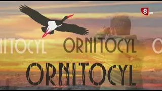 ORNITOCYL 24-06-2022