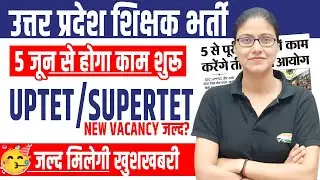 UP Teacher New Vacancy | शिक्षा सेवा चयन आयोग हुआ सक्रीय, UPTET/ SUPERTET Latest Update By Gargi Mam