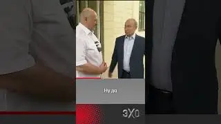 Лукашенко подколол Путина на встрече в Сочи #эхо #путин #лукашенко