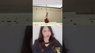 BUAYA LAPAR MAU MAKAN MANUSIA ?! | Klara Tania 