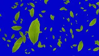 Falling Leaves Motion Animation Black White & Blue Screen Background Effect