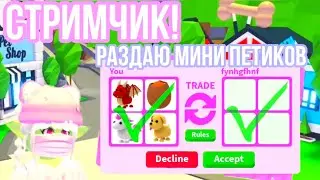 СТРИМ! РАЗДАЮ ПЕТОВ В АДОПТ