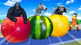 Funny Animals Jump over the Giant Fruits Game with Lion, Buffalo, Gorilla ,Zebra and Squid Game Doll