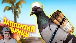 Лютые приколы в играх ► WDF 270 - СТРАННЫЕ ПТИЦЫ | Реакция