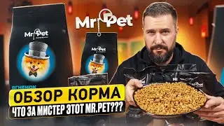 СУХОЙ КОРМ С МАРКЕТПЛЕЙСА для кошек и собак Mr.Pet | Состав корма и дегустация