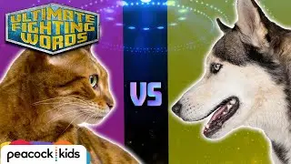 CAT VS. DOG - Which is the Better Pet? | ULTIMATE FIGHTING WORDS