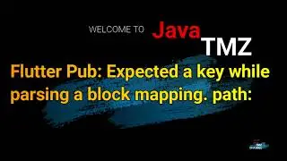 Flutter Pub: Expected a key while parsing a block mapping. path: