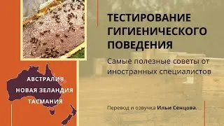 Тестирование гигиенического поведения (Тасмания, Австралия)