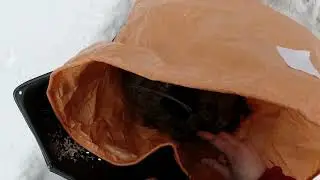 КОТ В МЕШКЕ С ОЗОНа! Почему это не стоит покупать?