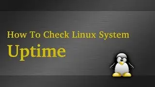 How To Check Linux System Uptime
