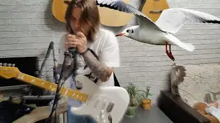 А че бы нет