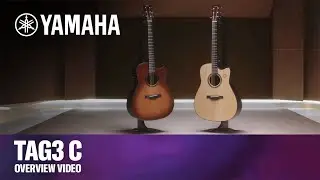 TAG3 C | Yamaha TransAcoustic Guitars