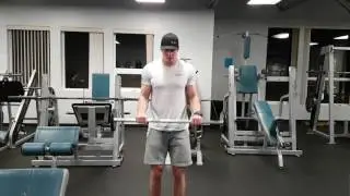 Reverse Curl - DC FIT