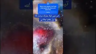 اس میں ایک مبارک درخت کا تیل جلایا جاتا ہے 
