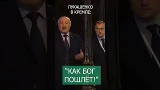 Как Бог пошлёт! Что спросили у Лукашенко в Кремле? #shorts