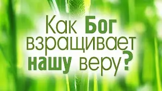 Сильная проповедь. Учение, тема о вере в Бога о молитве. Что такое вера Божья молитва? Как молиться?