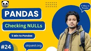 Pandas For Data Science | 5 Minutes to Pandas | Checking NULL Values in Pandas