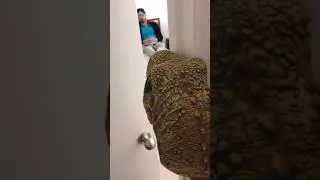 DINOSAUR PUPPET GOT CAUGHT STEALING MONEY!!!