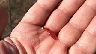 Рыбалка на бомбарду с мормышкой.