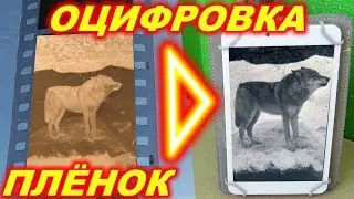 Как оцифровать фотопленки дома