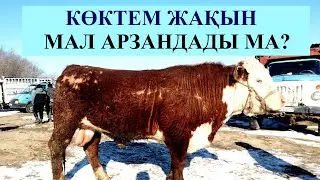 Жаркент мал базар 20.02.2022ж