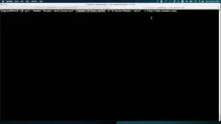 How to inspect the HTTP headers received by your web server