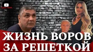 Life of Thieves in Law behind bars Black and Red