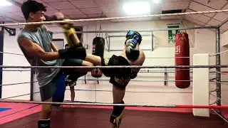 How I Became UFC Champ - 185 (Raw Sparring Update)