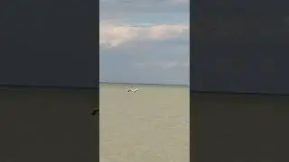 Ейск 2024. Купание коня, погода и температура воды в море. Отдых в Ейске отзывы. @matematika777