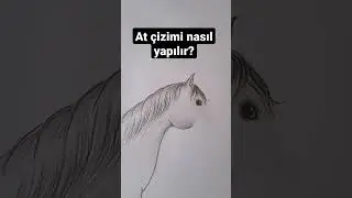 At çizimi nasıl yapılır?