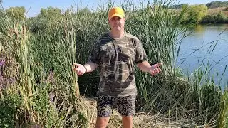 Ловлю карпа. Трофейный улов. Взвешивание. #fishing #carpfishing